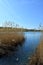 Landscape with lake and thickets of bulrush. Blue sky and water