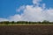 Landscape in late autumn. Stormy sky over an empty field