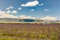 Landscape of a lavander field