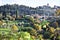 Landscape, with lawns trees and castle, photographed from the Boboli gardens in Florence.