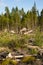 Landscape left Scarred after Logging Clear Cut