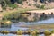Landscape of Letaba River Kruger Park