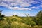 landscape and lighthouse Dornbusch at Hiddensee island