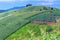 Landscape of the lined Green terraced rice and corn field