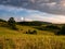 Landscape lit by the morning sun with a rolling meadow, forests and massive clouds in the sky