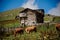 Landscape of the living wooden house at the foot of the green hill in the foreground of brown cows