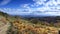 Landscape in livradois forez, auvergne, france