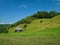 Landscape with log cabin on the meadow on a sunny day