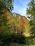 Landscape of Logar Valley - autumn trees and mountains in Slovenia