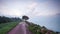 Landscape of a lonely tree at the boundary of land and sea