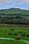 Landscape of Looking towards Culver down on the Isle of Wight from Brading marshes, vertical shot