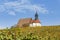 Landscape in Lower Franconia, colorful vineyards with colorful leaves in autumn colors, pilgrimage church Maria in the vineyard,