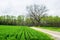 Landscape of lush farmland around southern york county pennsylvania