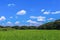 Landscape lush rice fields and vivid blue sky on background in summer