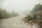 Landscape with magical atmosphere and mysterious fog on the road