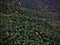 Landscape with magnificent view, dense fir forest in Pinsapar De Grazalema nature reserve, Spain