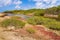 Landscape with mangrove forest on island Bonaire