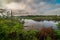 Landscape, mangroves