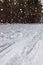 Landscape of many footprints in the snow in the forest in a snowfall, close-up, bottom view