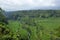 Landscape of many ricefields in Bali