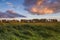 Landscape with marsh