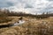 Landscape of marshland with a leaf bare tree silhouetted against a cloudy blue sky. Dead marsh grasses, water with reflection &