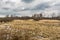 Landscape of marshland with a leaf bare tree silhouetted against a cloudy blue sky. Dead marsh grasses, water with reflection &