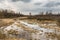 Landscape of marshland with a leaf bare tree silhouetted against a cloudy blue sky. Dead marsh grasses, water with reflection &