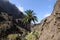 Landscape in the Masca valley, Tenerife