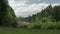 Landscape meadow and forest in spring.