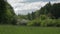 Landscape meadow and forest in spring.