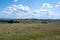 Landscape and meadow with lupins in the high Rhoen