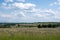 Landscape and meadow with lupins in the high Rhoen