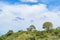 Landscape Meadow Tropical Scene, Ecuador