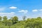 Landscape Meadow Tropical Scene, Ecuador