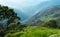 Landscape of meadows, mountains and trees in Colombia