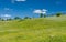 Landscape with meadows near Novo-Aleksandrivka village, central Ukraine