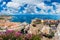 Landscape with Medieval town of Castelsardo