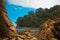 Landscape in the middle of a rocky beach in the middle of the jungle surrounded by vegetation and trees in the tropical pacific in