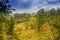 Landscape in a midi pyrenees forest with a chapel on top of a hill. Lot department. France