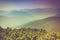 Landscape of misty mountain hills covered by forest.