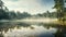 landscape misty woodland lake