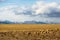 Landscape of the Mongolian steppe in the foothills. Nature.