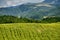 Landscape in Montefeltro near Urbania Marches, Italy