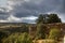 Landscape in the Montes de Toledo, Castilla La Mancha, Spain