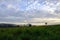 Landscape morning sunrise at Thung Salang Luang National Park Ph