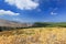 Landscape on Mount Ataviros, Rhodes Island - Greece