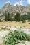 Landscape of mount Bavella on the island of Corsica