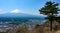 Landscape of Mount Fuji volcano and a lone pine tree in Japan
