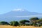 landscape of Mount Kilimanjaro - the roof of Africa in Tanzania.